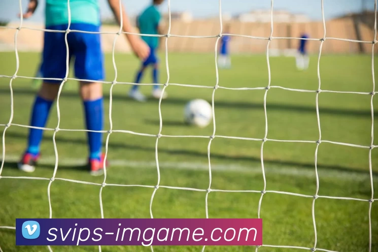 IM电竞官网品牌故事