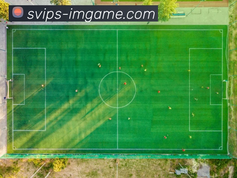 IM电竞官网服务体系